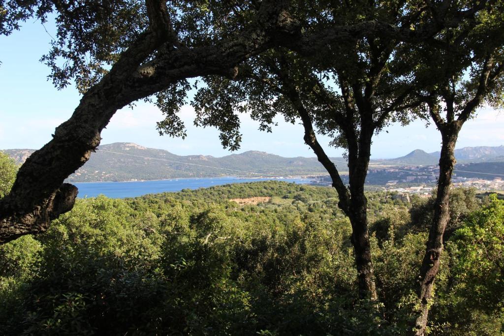 Hotel Les Hauts De Porto-Vecchio 部屋 写真